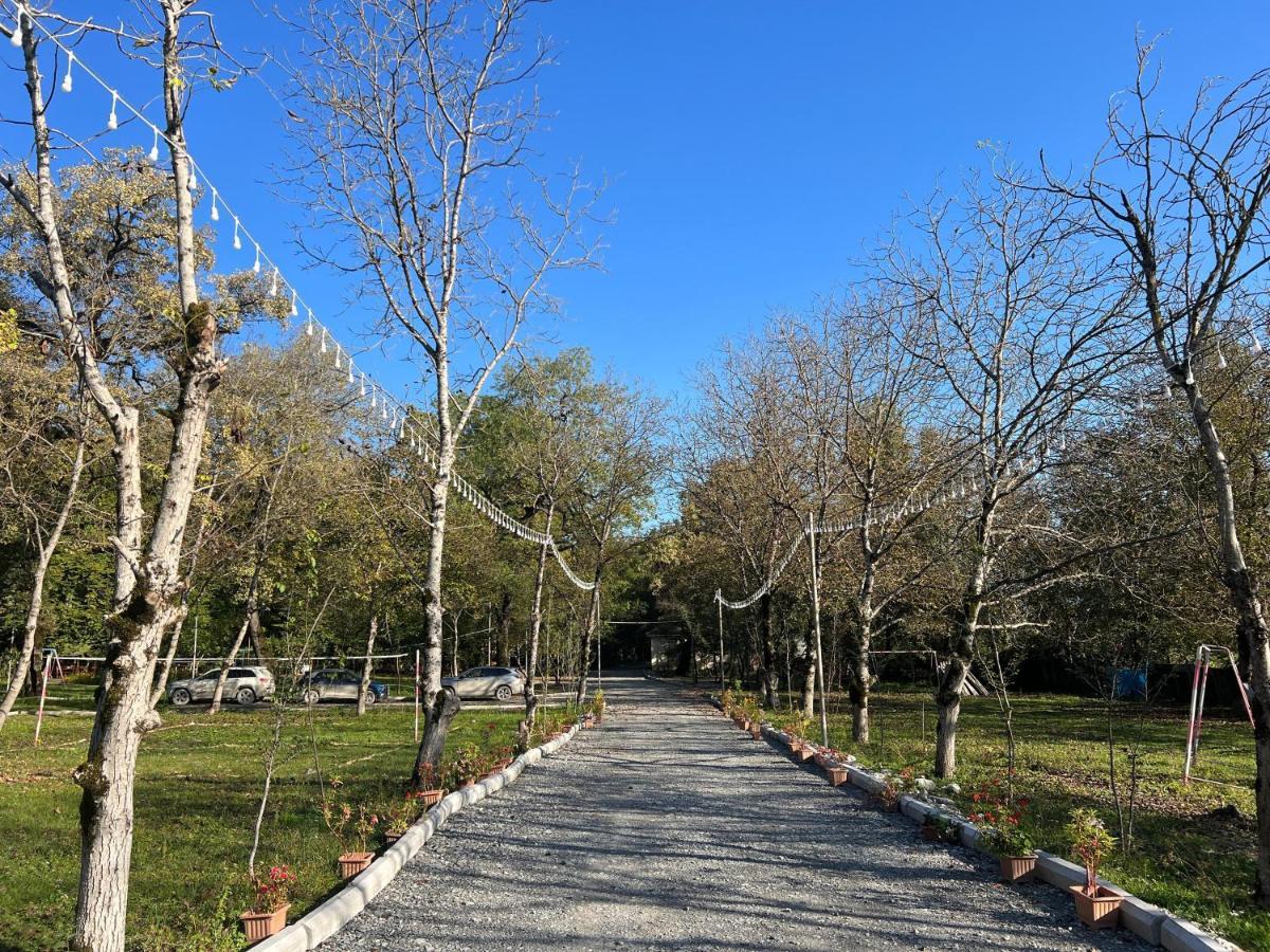 Topchu Forest Ismayilli Topcu Luaran gambar
